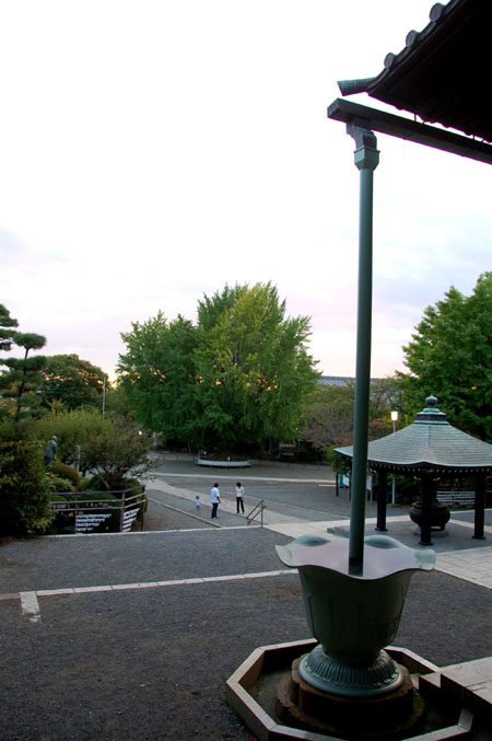 e0082110_2411889.jpg