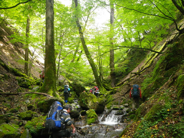 d0006512_23462916.jpg