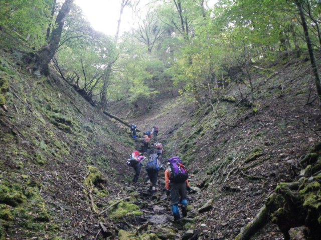 d0006512_23464780.jpg