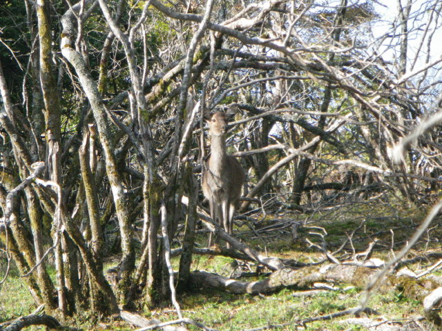 d0006512_23482638.jpg