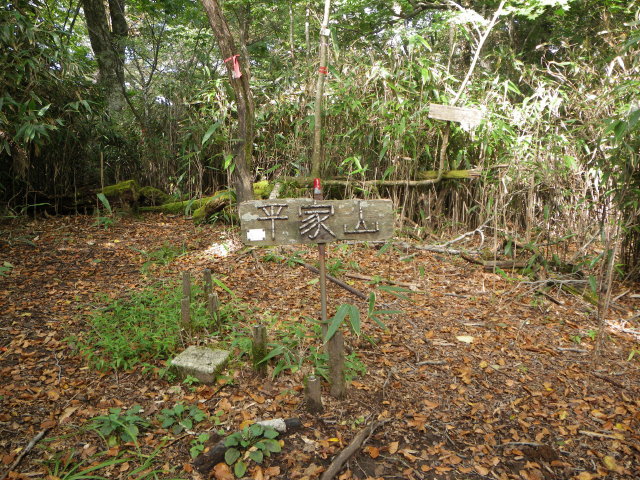 d0006512_23493570.jpg