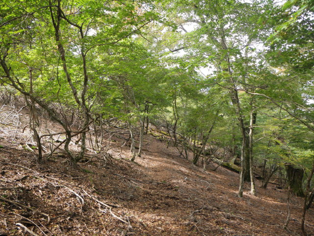 d0006512_2349997.jpg