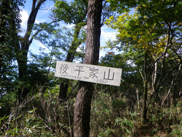 d0006512_2350869.jpg