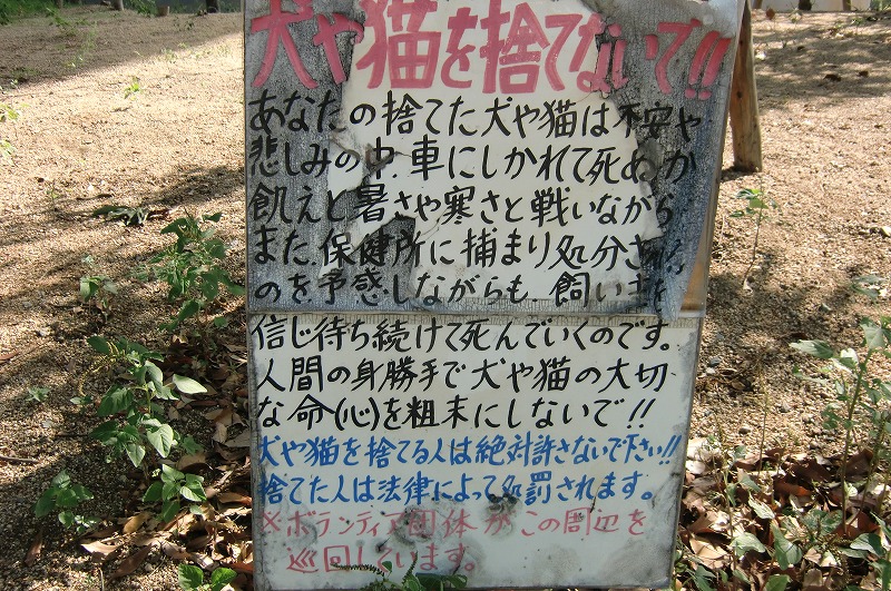 f0213613_21221457.jpg
