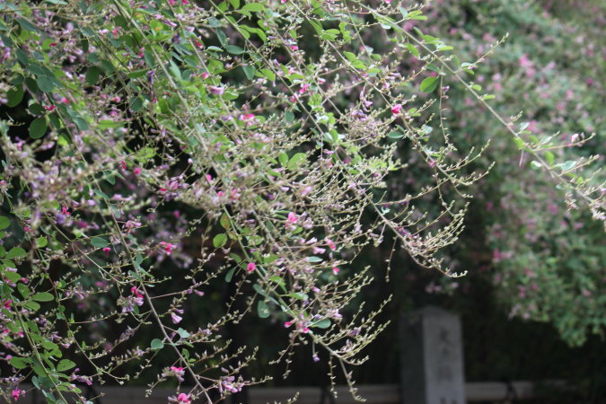 d0072318_818524.jpg
