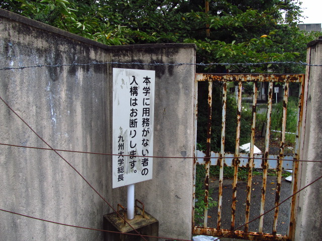 e0011818_5164651.jpg