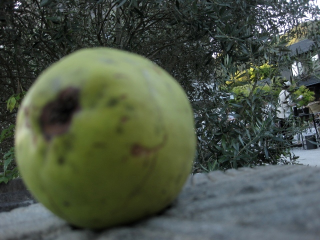 c0134522_19522729.jpg