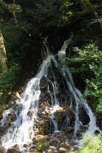 f0007926_15381333.jpg