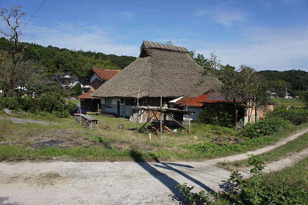f0007926_15381769.jpg
