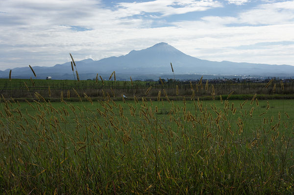 f0007926_15382415.jpg