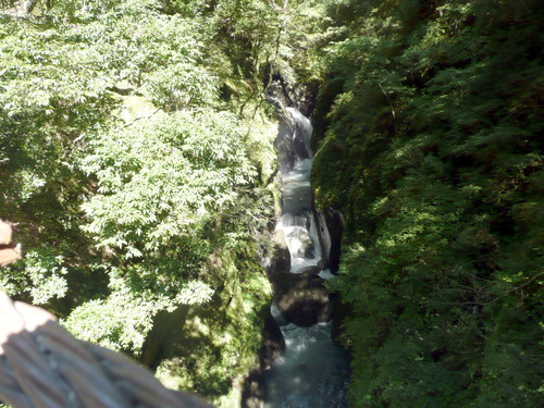 e0033229_2117922.jpg