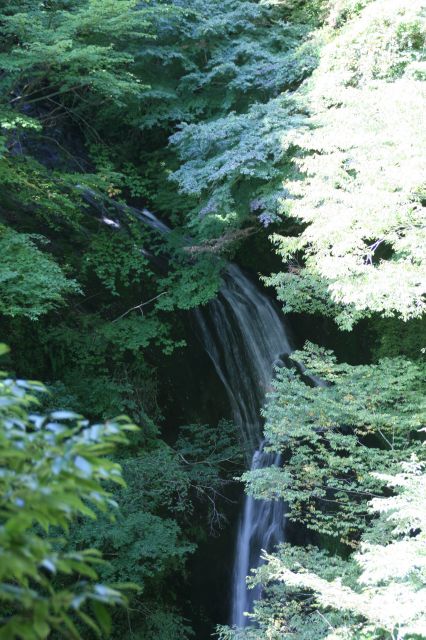 e0033229_21474634.jpg