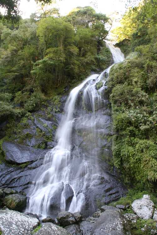 e0033229_2202413.jpg