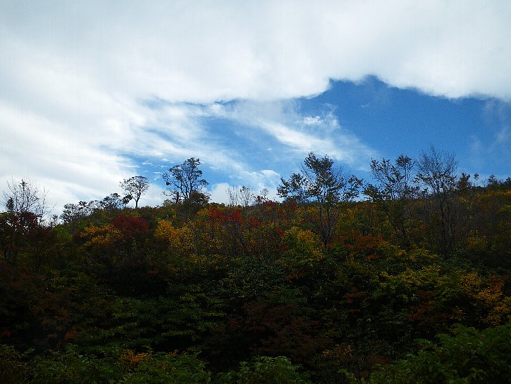 f0118332_8361914.jpg