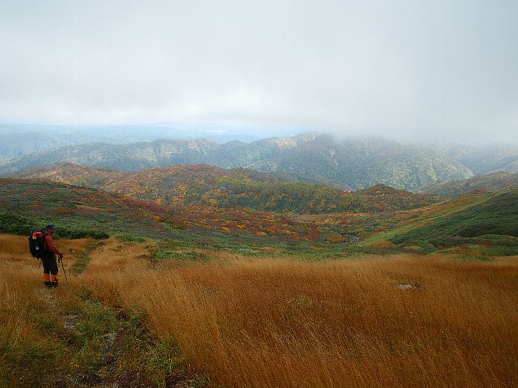 f0118332_8375284.jpg
