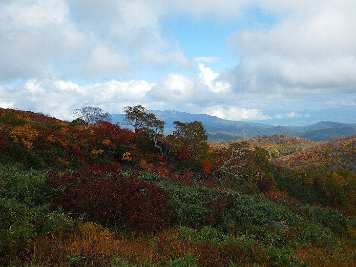 f0118332_8425840.jpg