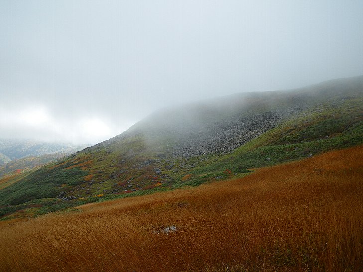 f0118332_8455130.jpg