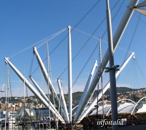 c0077533_2334421.jpg