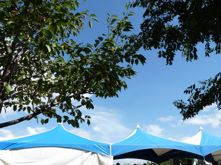 c0100534_1547220.jpg