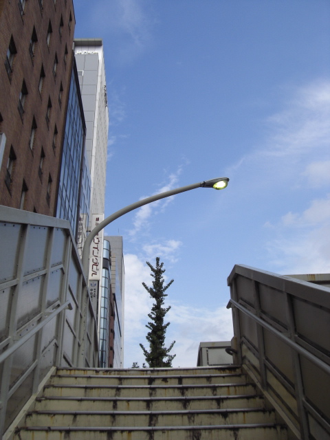e0081334_21263452.jpg