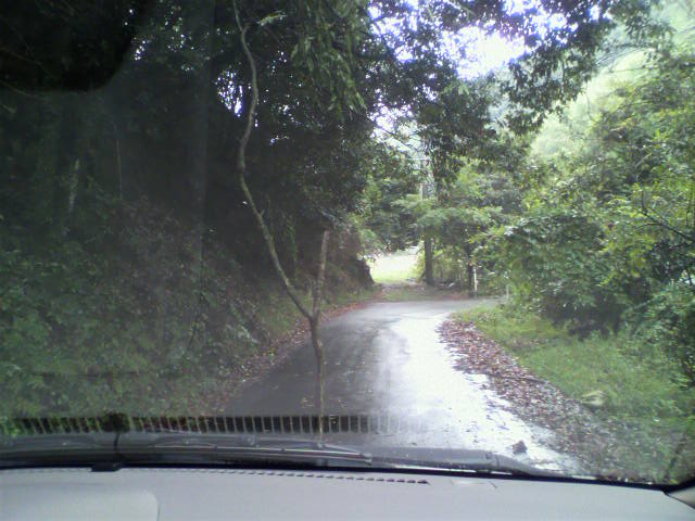 f0008935_13143567.jpg
