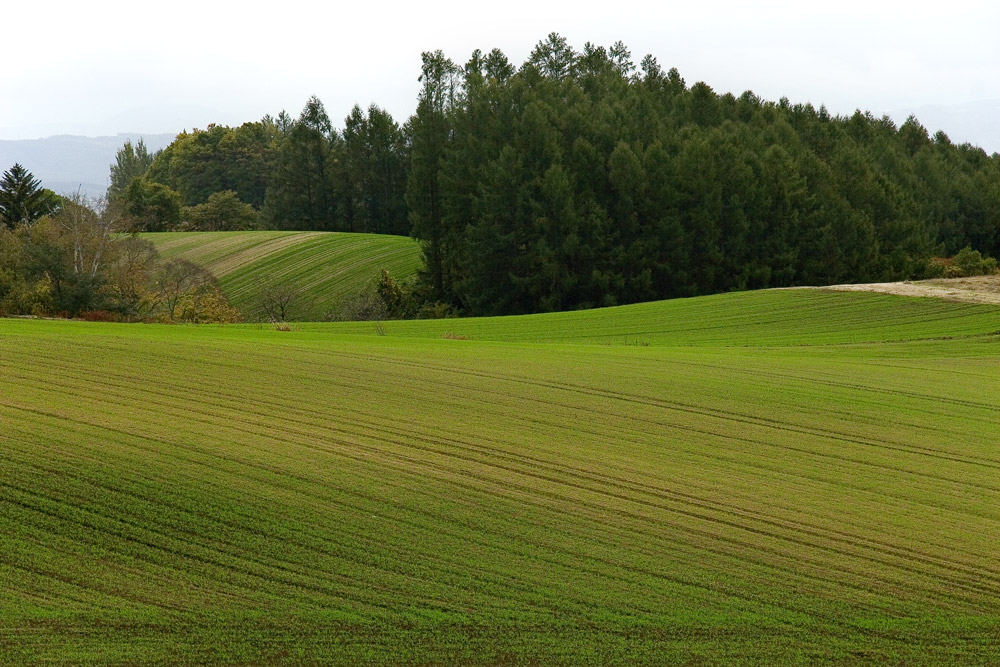 d0136836_11105858.jpg