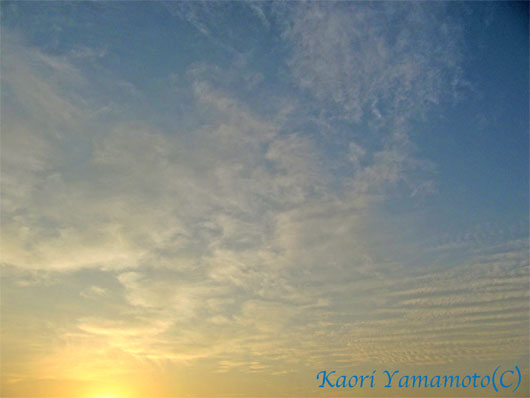 a0095337_23462394.jpg