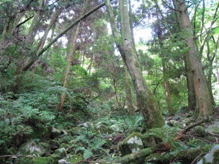 c0077338_63104.jpg