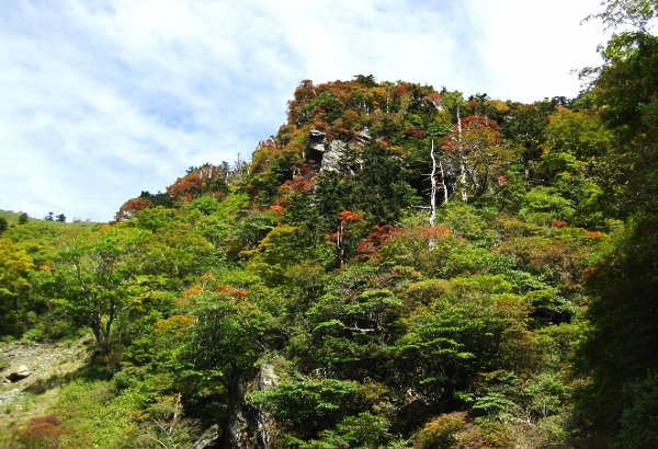 b0149340_20445853.jpg