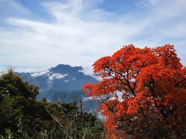 b0149340_20501594.jpg