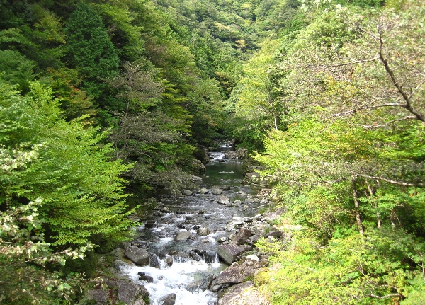 b0149340_21132591.jpg