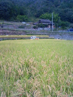 d0110741_9385361.jpg