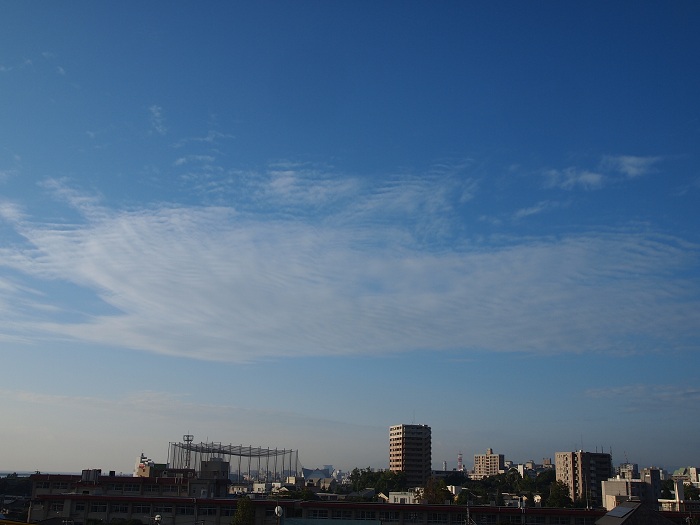a0146442_7393826.jpg