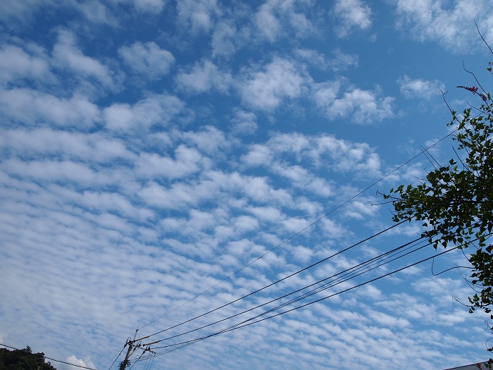 a0146442_7411443.jpg