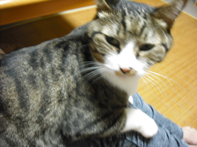 c0194042_2102886.jpg