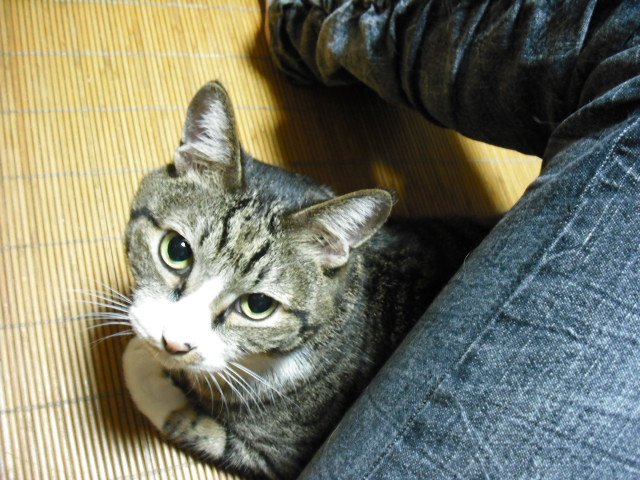 c0194042_21113728.jpg