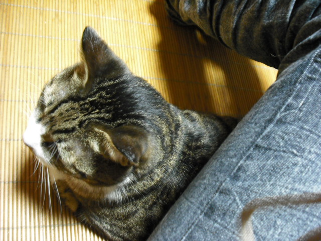 c0194042_2123271.jpg