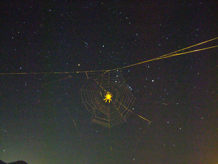 e0006242_20293737.jpg