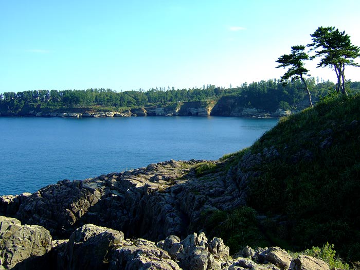 e0006242_21171850.jpg