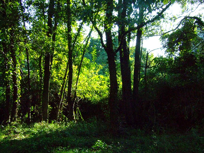 e0006242_2117316.jpg