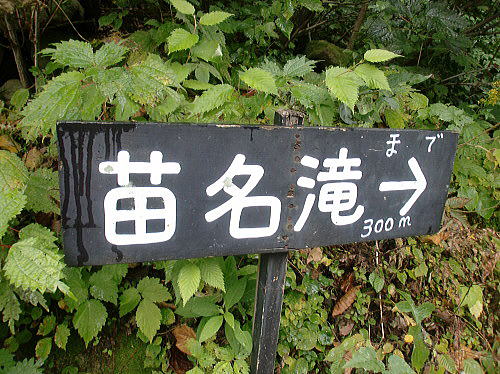 f0094843_2321202.jpg
