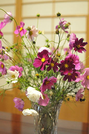 f0094843_23461187.jpg