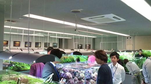 b0202747_011617.jpg
