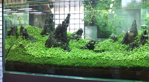 b0202747_024969.jpg