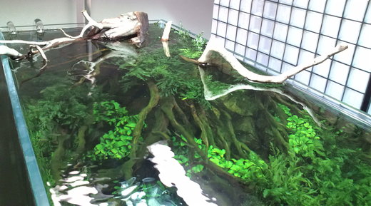 b0202747_0281667.jpg