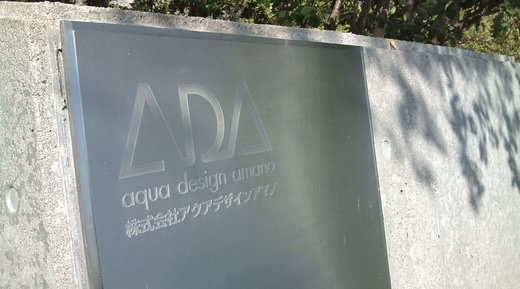 b0202747_0337.jpg