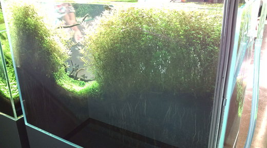 b0202747_0372715.jpg