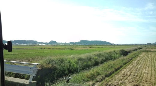 b0202747_0484730.jpg