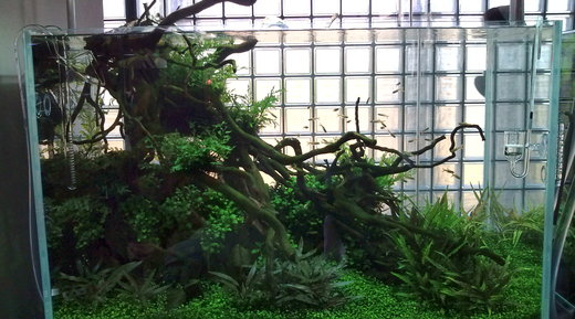 b0202747_0534988.jpg