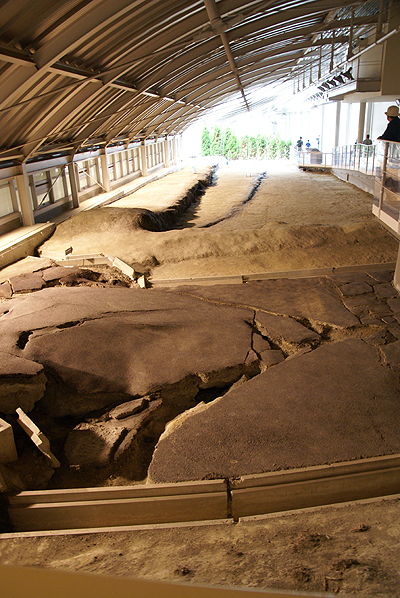 f0214649_4293045.jpg
